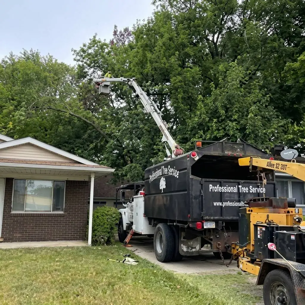 Tree care equipment staged in a residential yard
